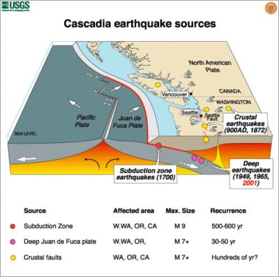 Cascadia Plate Graphic