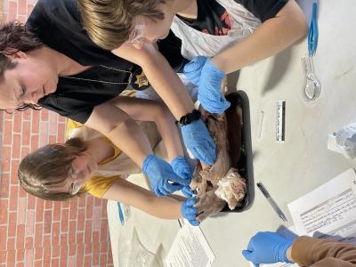 CSI: Forensic Science Day Camp Photos 2022